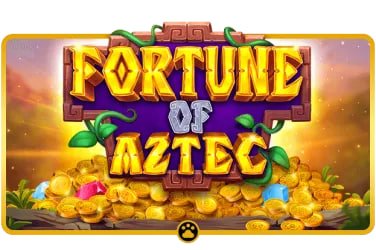 Responsive tkbet live casino interface with mobile ready controls
